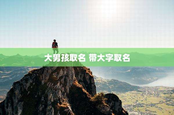 大男孩取名 带大字取名