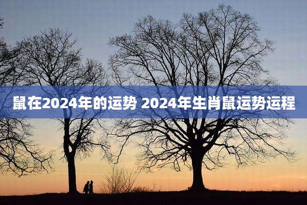 鼠在2024年的运势 2024年生肖鼠运势运程