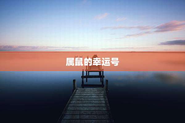 属鼠的幸运号