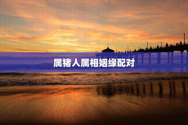 属猪人属相姻缘配对