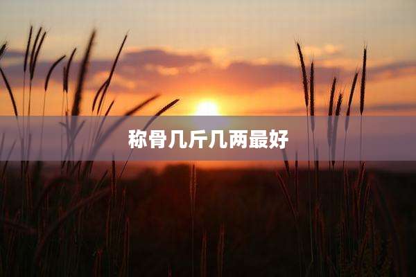 称骨几斤几两最好