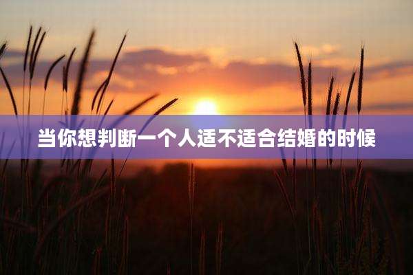 当你想判断一个人适不适合结婚的时候