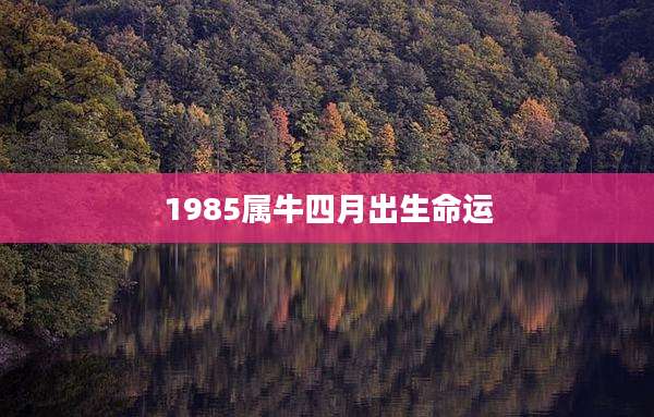 1985属牛四月出生命运