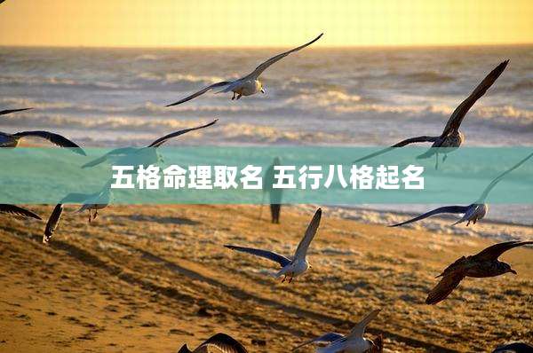 五格命理取名 五行八格起名