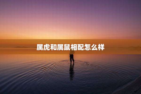 属虎和属鼠相配怎么样