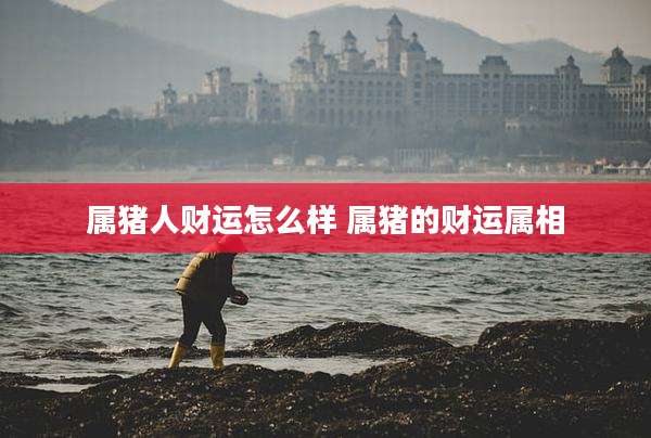 属猪人财运怎么样 属猪的财运属相