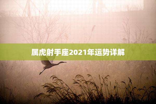 属虎射手座2021年运势详解