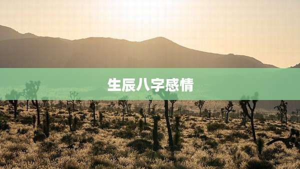 生辰八字感情