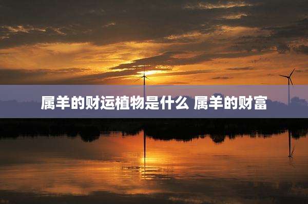 属羊的财运植物是什么 属羊的财富
