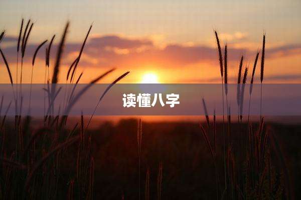 读懂八字