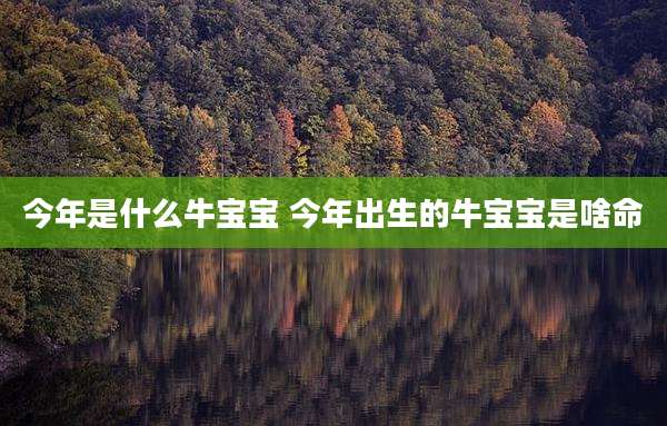今年是什么牛宝宝 今年出生的牛宝宝是啥命