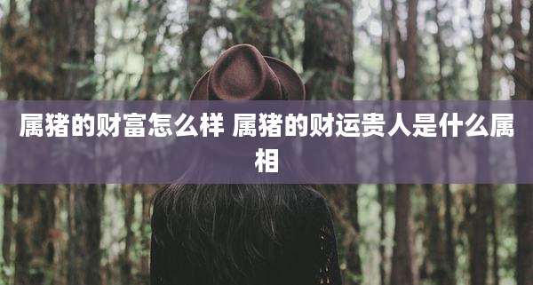 属猪的财富怎么样 属猪的财运贵人是什么属相