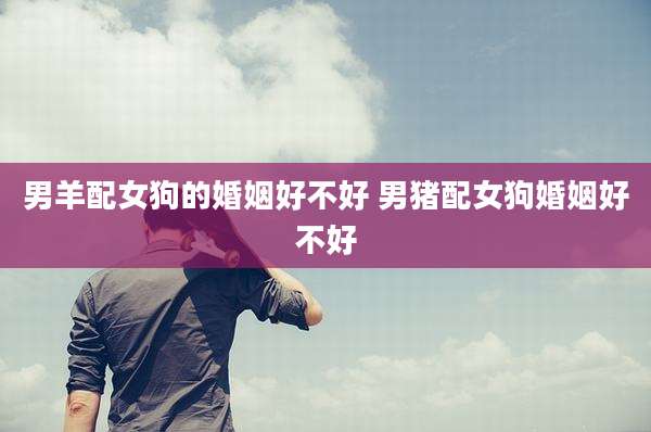 男羊配女狗的婚姻好不好 男猪配女狗婚姻好不好
