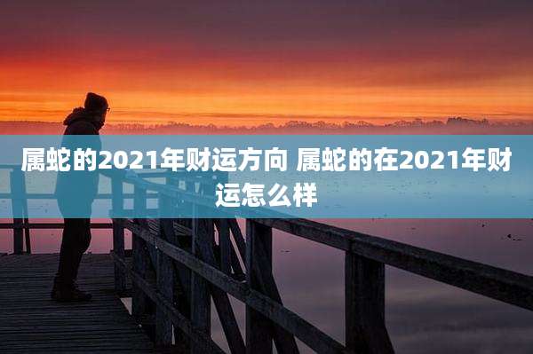 属蛇的2021年财运方向 属蛇的在2021年财运怎么样
