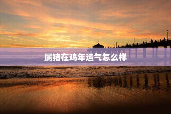 属猪在鸡年运气怎么样