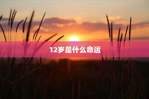 12岁是什么命运