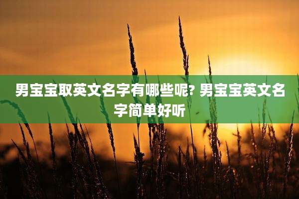 男宝宝取英文名字有哪些呢? 男宝宝英文名字简单好听