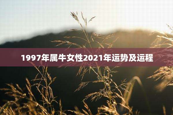 1997年属牛女性2021年运势及运程