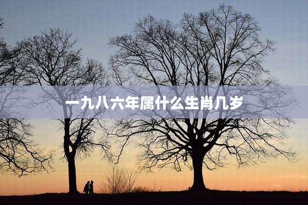 一九八六年属什么生肖几岁