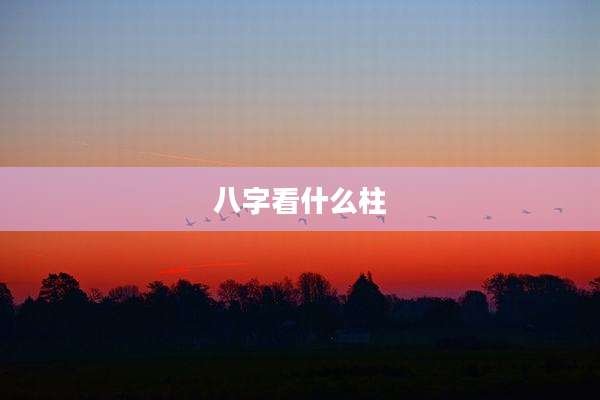 八字看什么柱