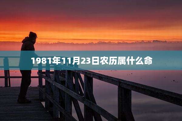 1981年11月23日农历属什么命