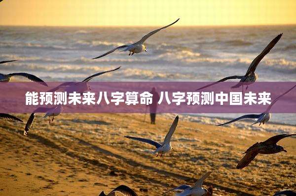 能预测未来八字算命 八字预测中国未来