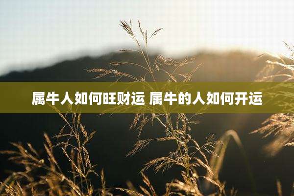 属牛人如何旺财运 属牛的人如何开运