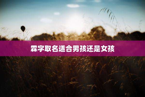 霖字取名适合男孩还是女孩