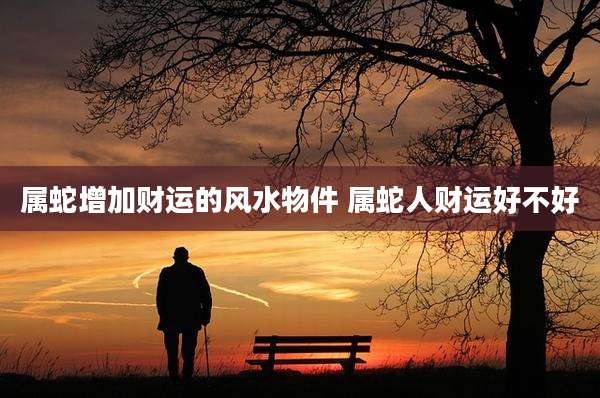 属蛇增加财运的风水物件 属蛇人财运好不好