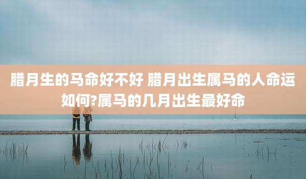 腊月生的马命好不好 腊月出生属马的人命运如何?属马的几月出生最好命