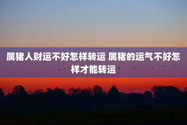 属猪人财运不好怎样转运 属猪的运气不好怎样才能转运