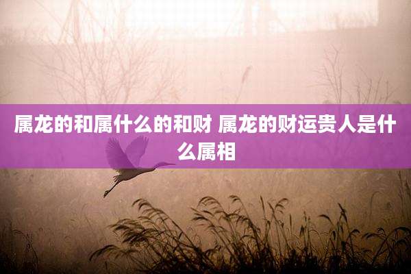 属龙的和属什么的和财 属龙的财运贵人是什么属相