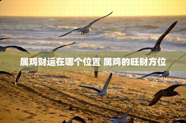 属鸡财运在哪个位置 属鸡的旺财方位