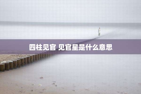 四柱见官 见官星是什么意思