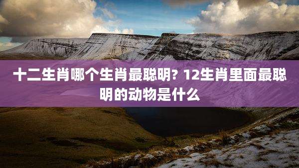 十二生肖哪个生肖最聪明? 12生肖里面最聪明的动物是什么