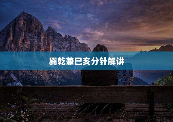 巽乾兼巳亥分针解讲