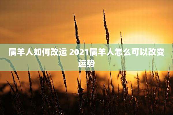 属羊人如何改运 2021属羊人怎么可以改变运势