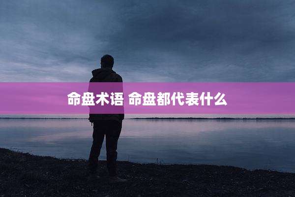命盘术语 命盘都代表什么