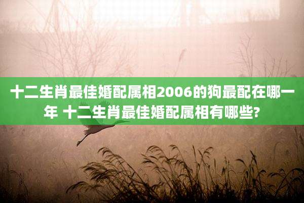 十二生肖最佳婚配属相2006的狗最配在哪一年 十二生肖最佳婚配属相有哪些?