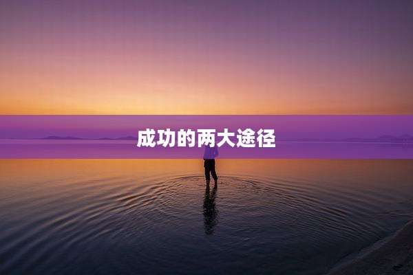 成功的两大途径