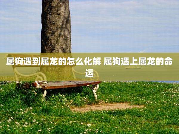 属狗遇到属龙的怎么化解 属狗遇上属龙的命运