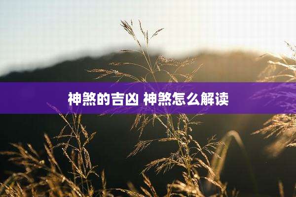 神煞的吉凶 神煞怎么解读