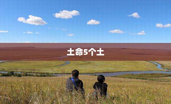 土命5个土