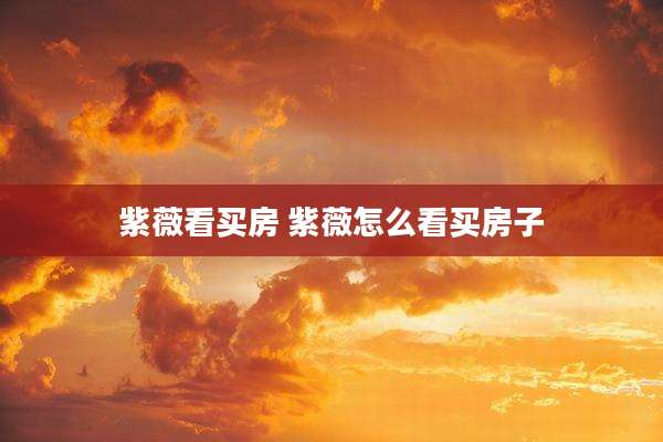 紫薇看买房 紫薇怎么看买房子
