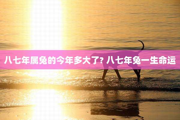 八七年属兔的今年多大了? 八七年兔一生命运