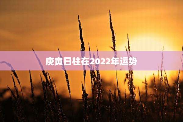庚寅日柱在2022年运势