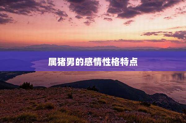 属猪男的感情性格特点