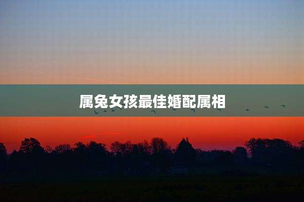 属兔女孩最佳婚配属相