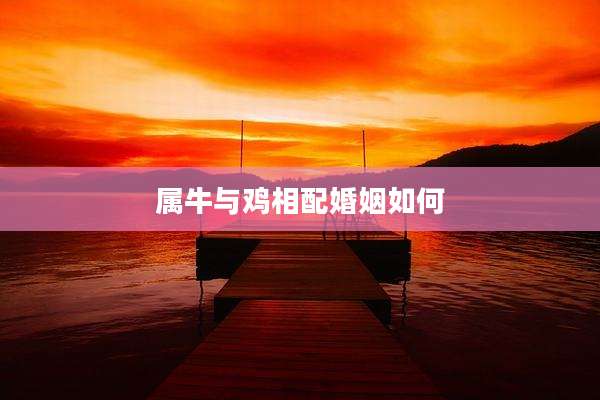 属牛与鸡相配婚姻如何