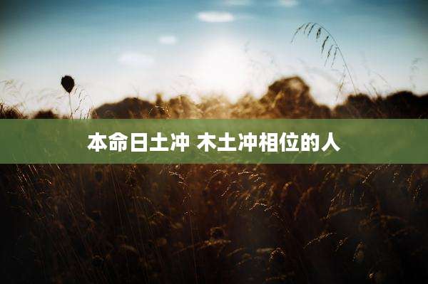 本命日土冲 木土冲相位的人